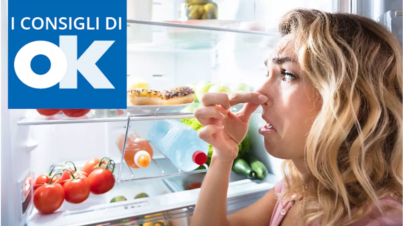 Frigo: 5 rimedi naturali per eliminare i cattivi odori