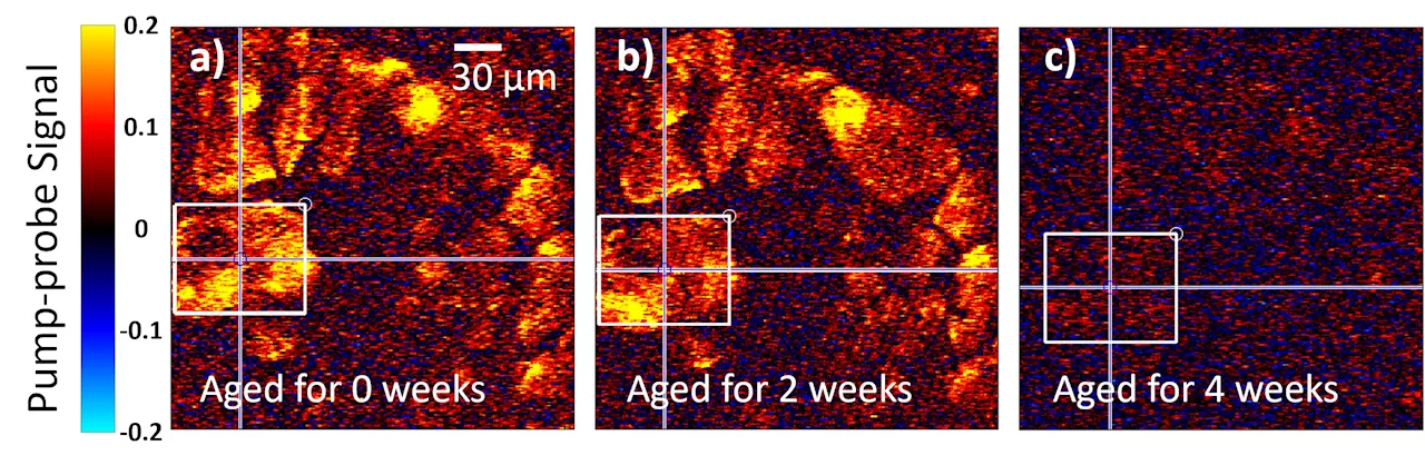 Laser imaging could offer early detection for at-risk artwork