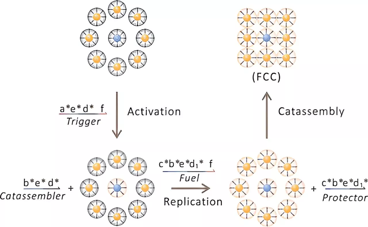 Scientists construct sophisticated synthetic system using self-replicating nanostructures