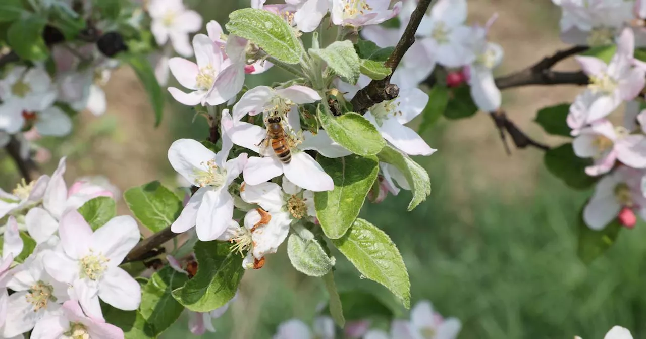 Wetter in NRW: Klima und Wetter - Was ist der Unterschied?