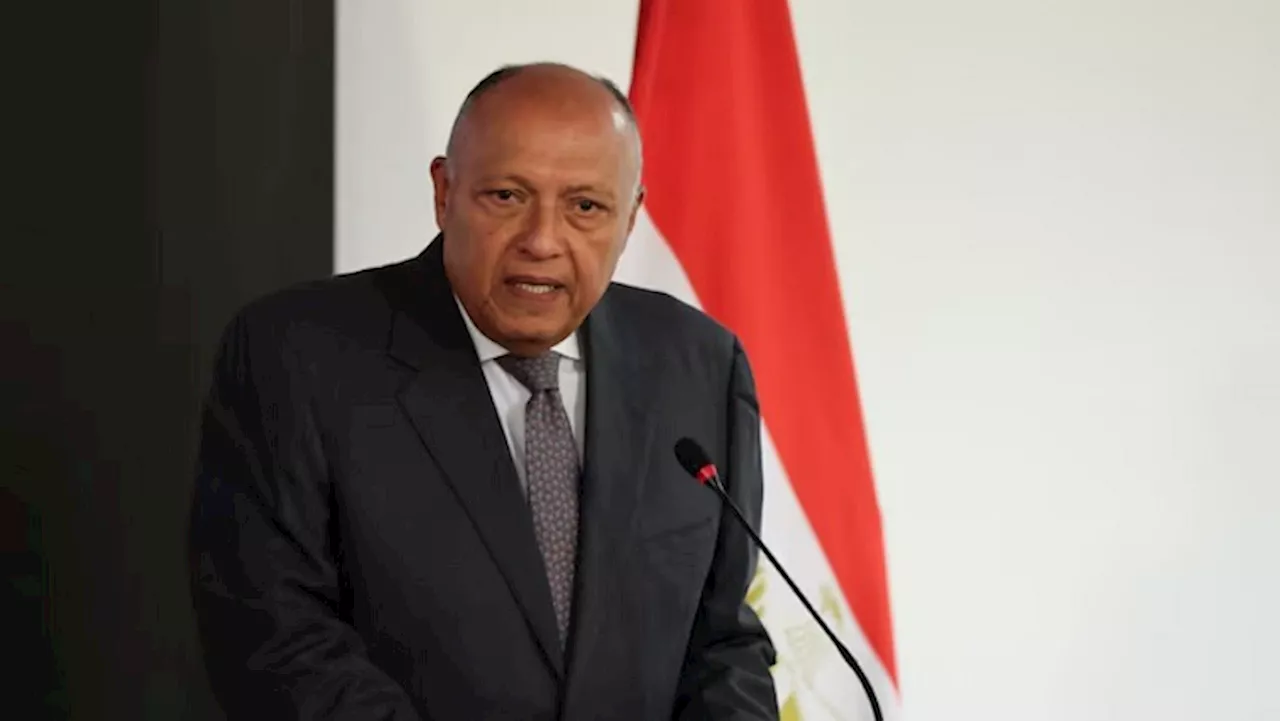 Egypt hopeful on Gaza talks, waiting for response: Foreign minister - SABC News