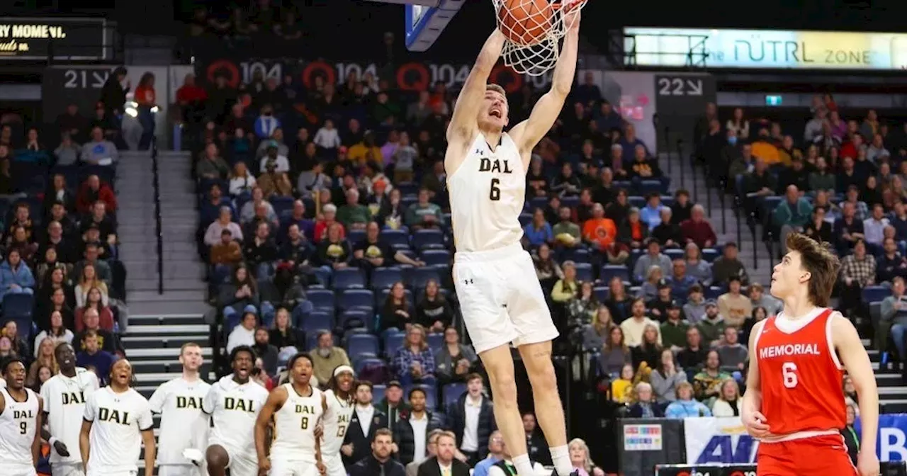 BASKETBALL: AUS MVP Malcolm Christie leaves Dalhousie for NCAA's Oakland University