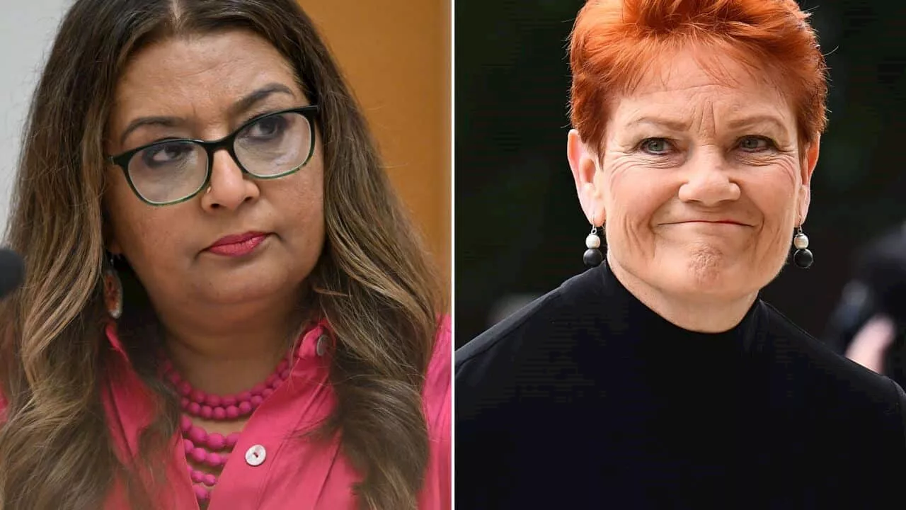 Court hears Pauline Hanson's 'demeaning and insulting' language triggered fear, anxiety