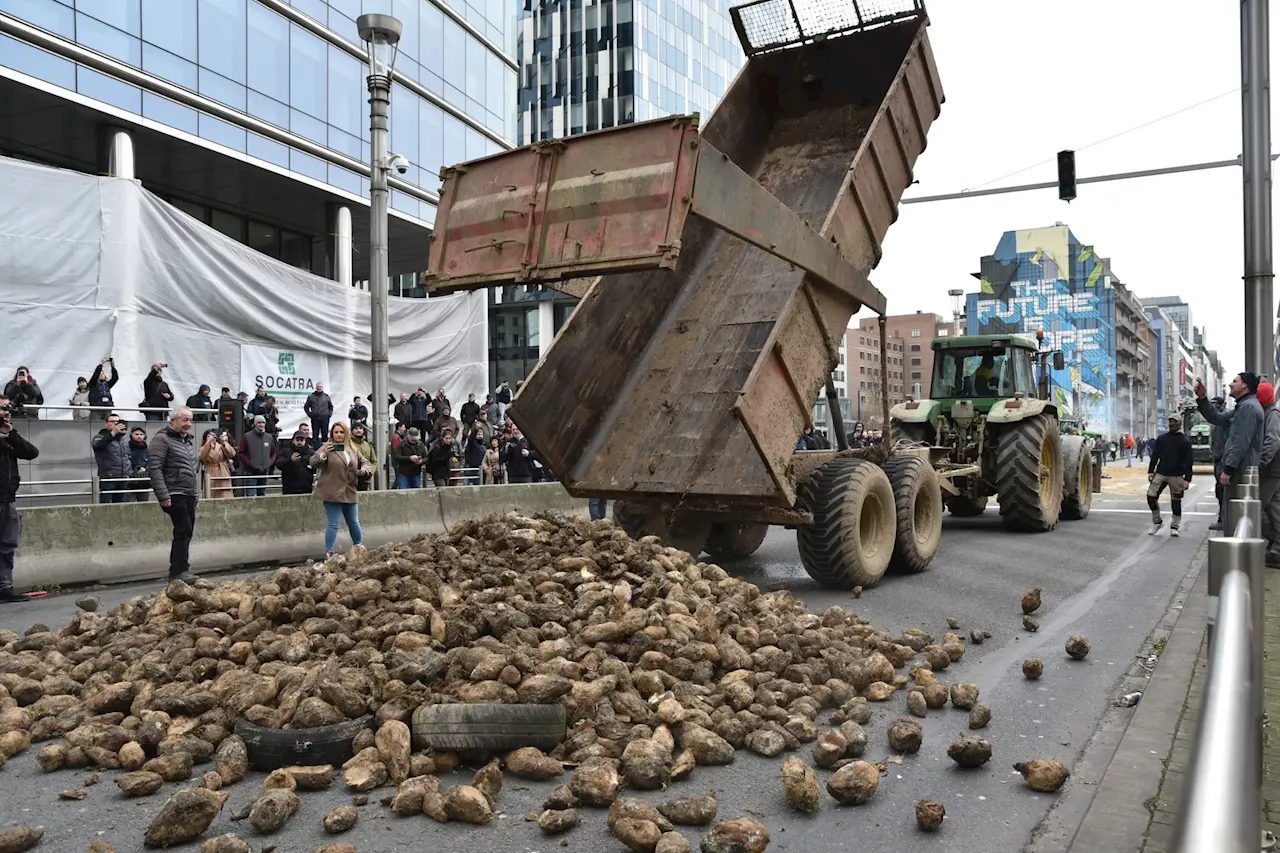 15 minutos: a fase final das medidas de Bruxelas de apoio aos agricultores