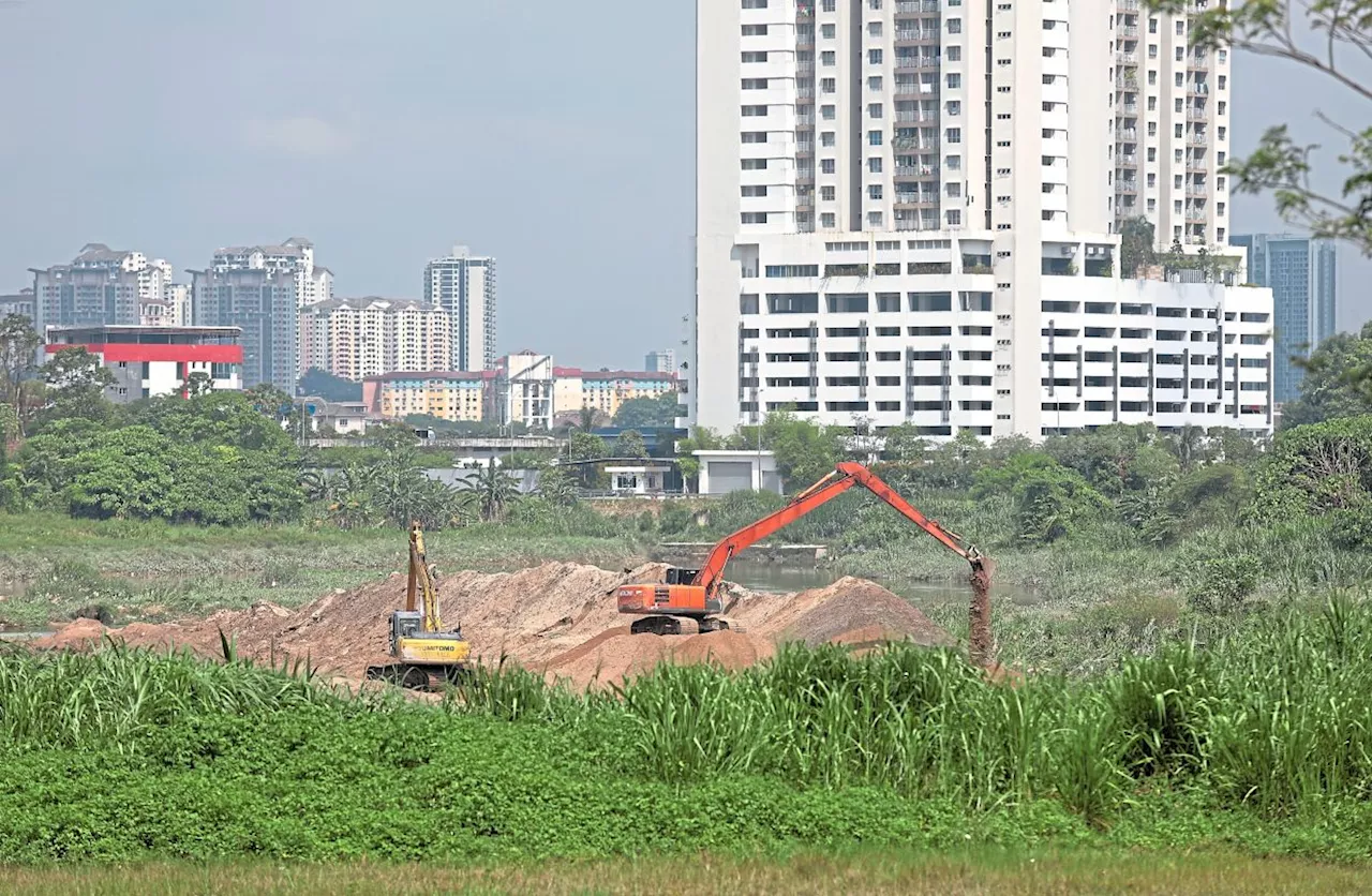 Bohol pond in peril again with new development plan