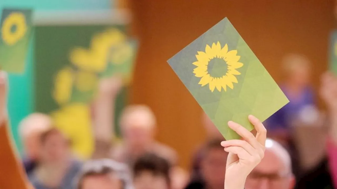 Parteien: Grüne fordern bundesweite AfD-Taskforce