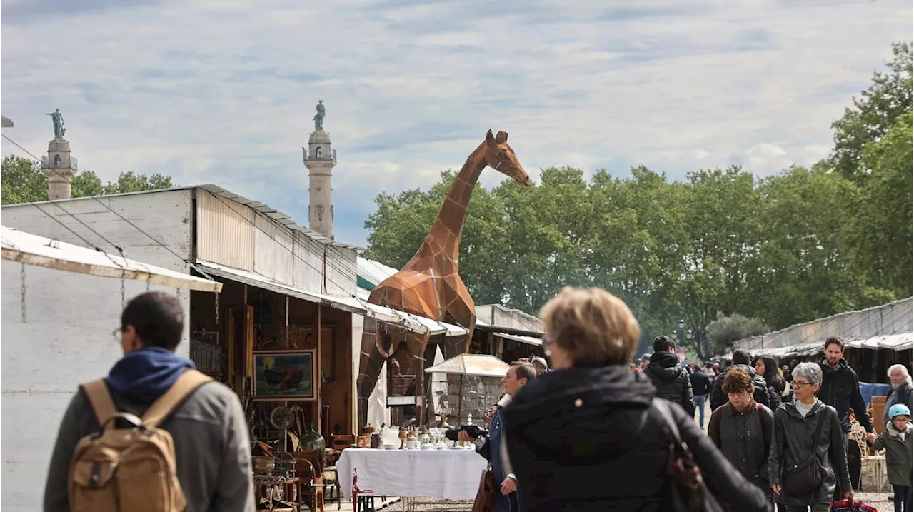 Bordeaux : à la brocante des Quinconces, « les gens ne viennent pas ici juste parce qu’il fait beau »