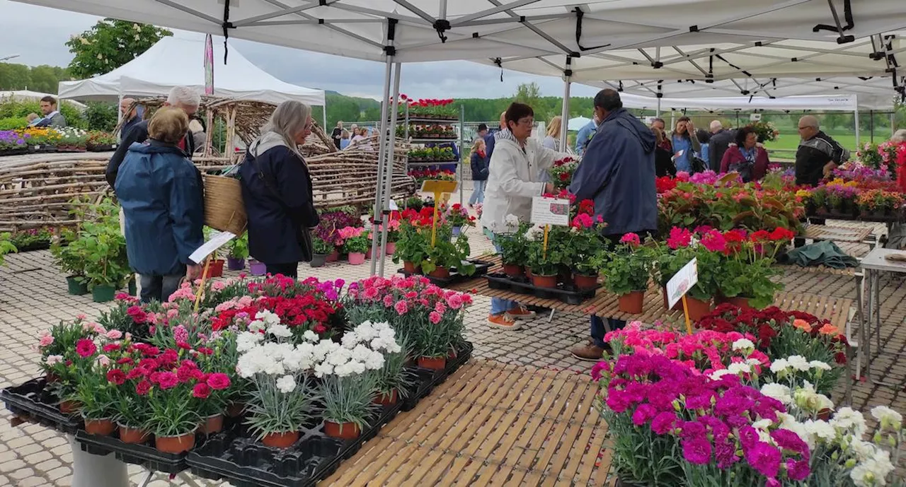 Tonneins : Un 1er mai historiquement fleuri à Saint-Pierre