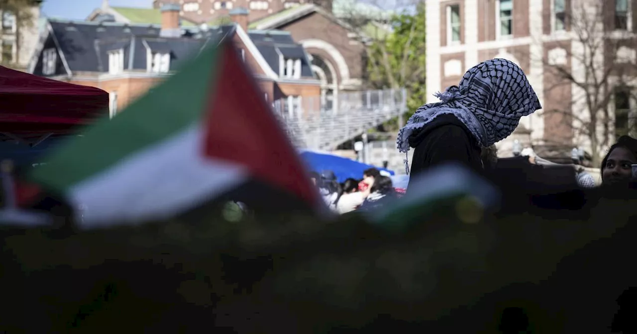 ”Den studentaktivism forskarna ställt sig bakom är förödande.”