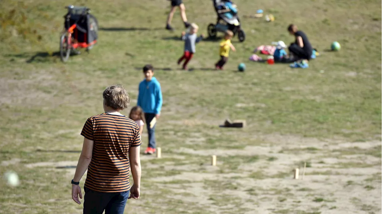 Berliner Volkspark wird umgebaut: Die Hasenheide wird zur Experimentierfläche gegen die Folgen des Klimawandels