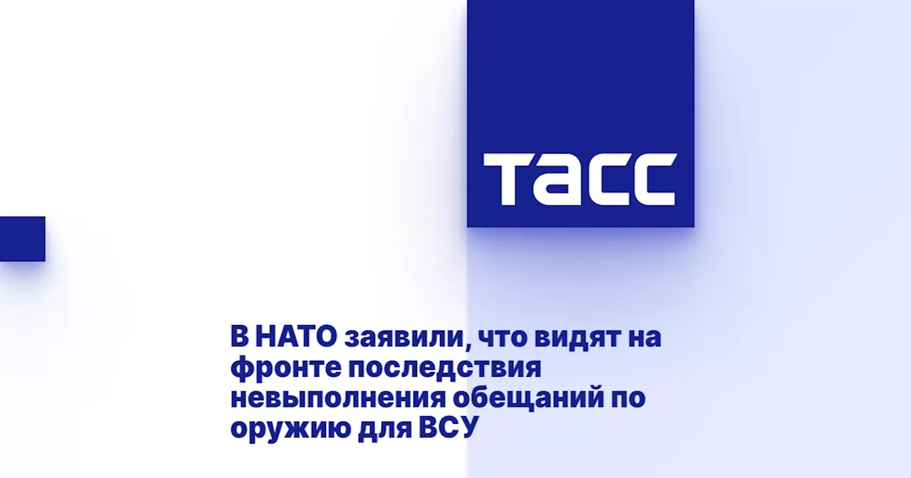 В НАТО заявили, что видят на фронте последствия невыполнения обещаний по оружию для ВСУ