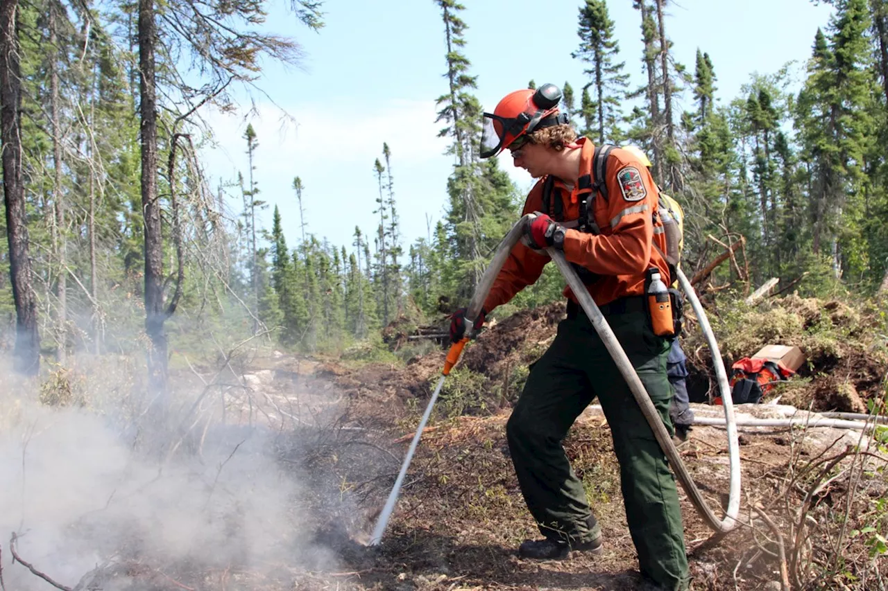 Forest firefighters to get presumptive WSIB coverage for cancers and PTSD