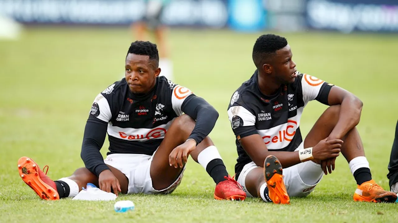 Rassie Erasmus to give forgotten star a Springbok second chance?