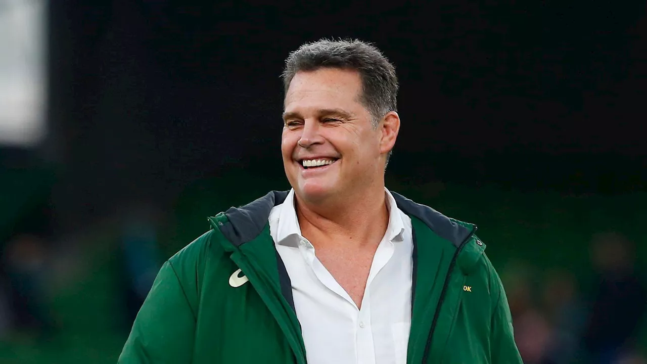 Springboks coach Rassie Erasmus gives forgotten star a lifeline