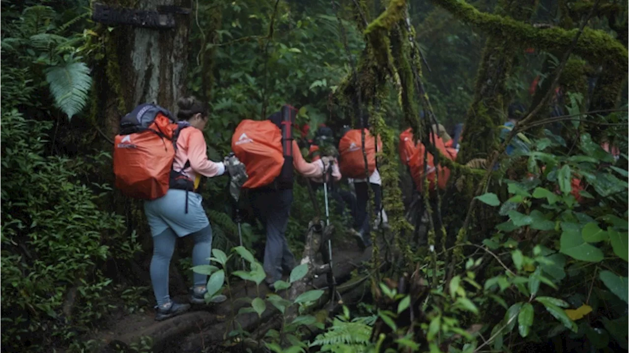 8 Risiko yang Sering Diabaikan saat Naik Gunung, Pendaki Wajib Tahu!