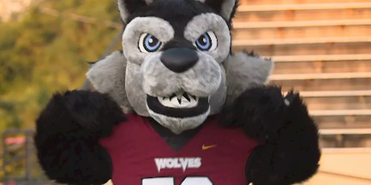 Dothan City Schools launches new Wolfpack branding