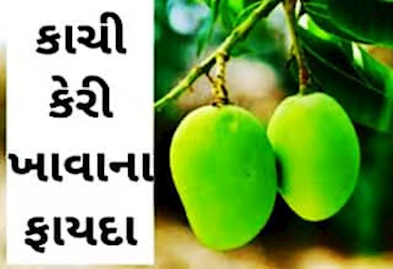 સ્વાસ્થ્યનો ખજાનો છે કાચી કેરી! ફાયદા જાણશો તો બે હાથે ખાશો, શું કહે છે ડાયટિશિયન?