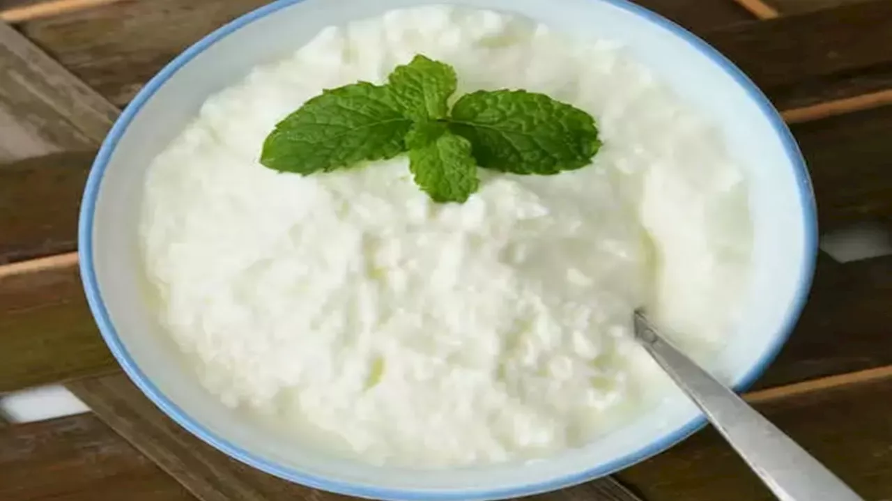 How to Make Curd: ಮನೆಯಲ್ಲೇ ರುಚಿ ರುಚಿಯಾದ ಮೊಸರು ಮಾಡುವದು ಹೇಗೆ ಗೊತ್ತಾ?