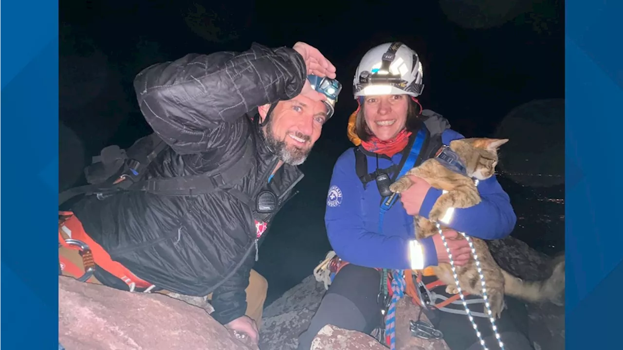 Climbers and Cat Rescued After Getting Stuck on First Flatiron