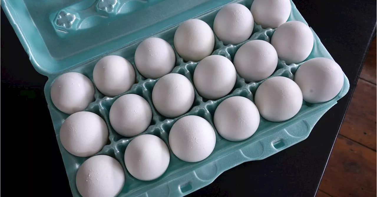 Largest US egg producer halts production at Texas plant after bird flu found in chickens