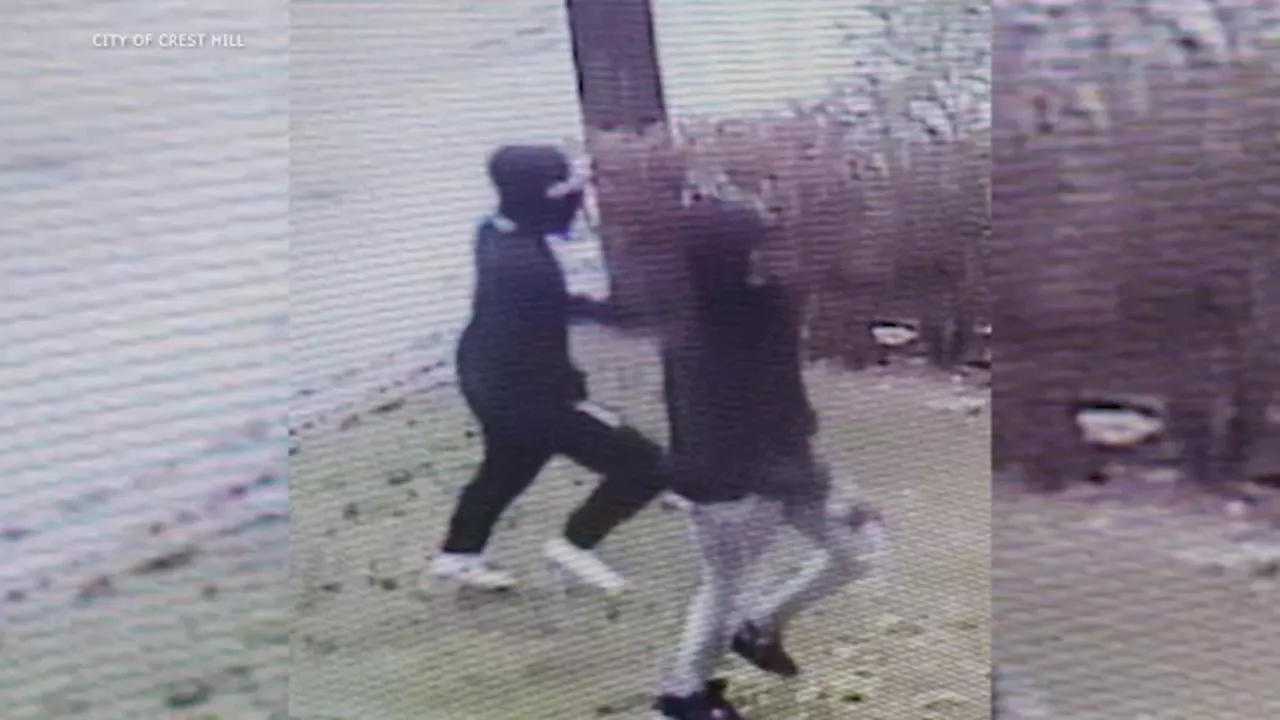 New surveillance photos show masked suspects of shooting in Crest Hill; 1 in custody, police say