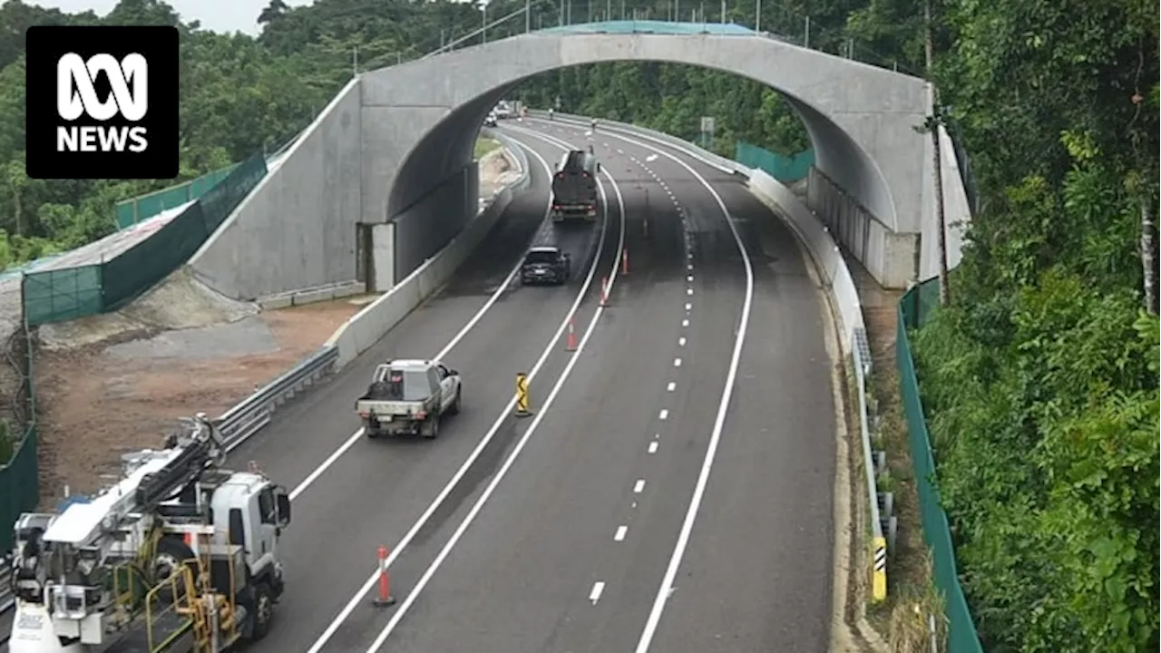 Bruce Highway cassowary bridge project finished over time, budget in Far North Queensland