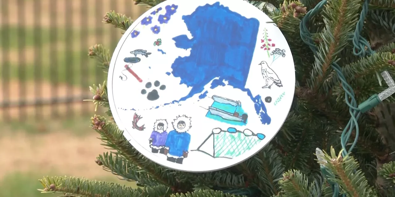 Forest Service issues call for 10k Christmas ornaments to decorate Capitol tree