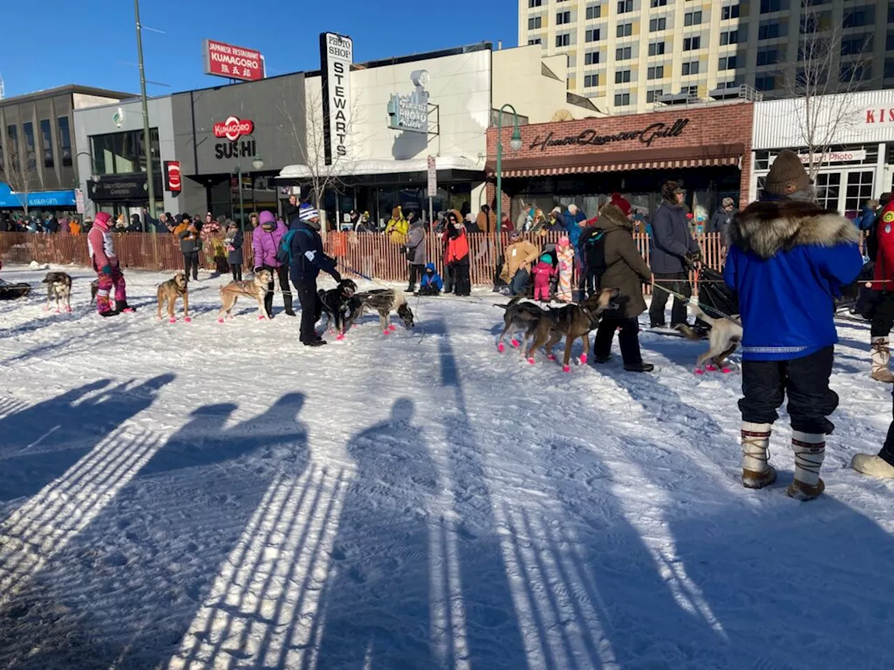 In fundraising pitch, Iditarod planners say financial woes could jeopardize epic sled dog race