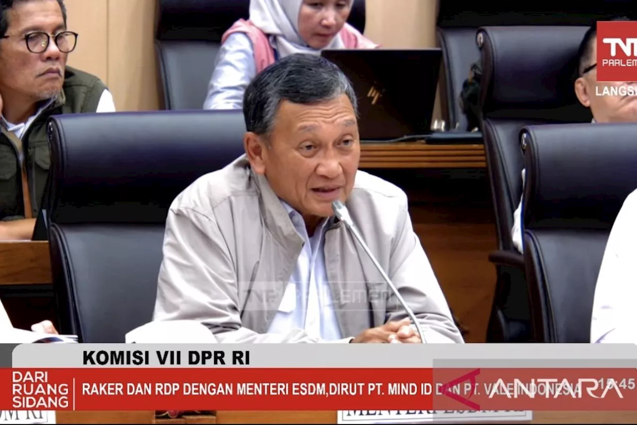 Menteri ESDM: Draf perpanjangan izin Vale sudah di Menteri Investasi