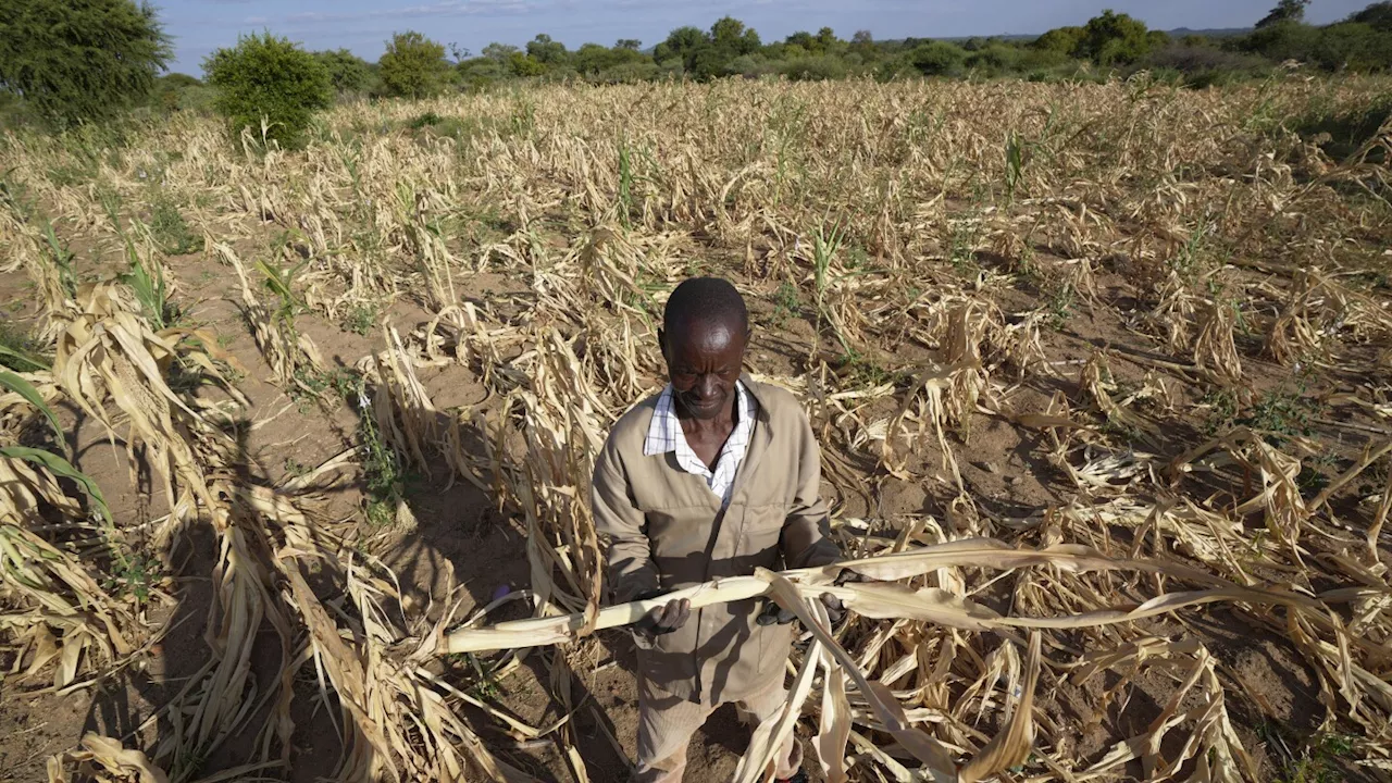 Zimbabwe declares drought disaster, the latest in a region where El Nino has left millions hungry