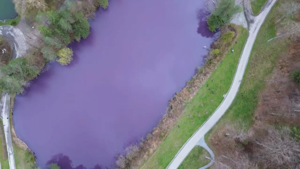 Gipsbruchweiher bei Füssen im Allgäu: Warum der Weiher lila leuchtet