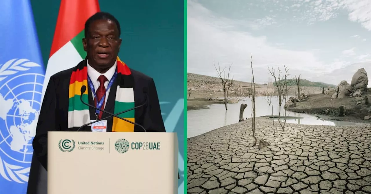 Emmerson Mnangagwa Declares Zimbabwe Drought a National Disaster