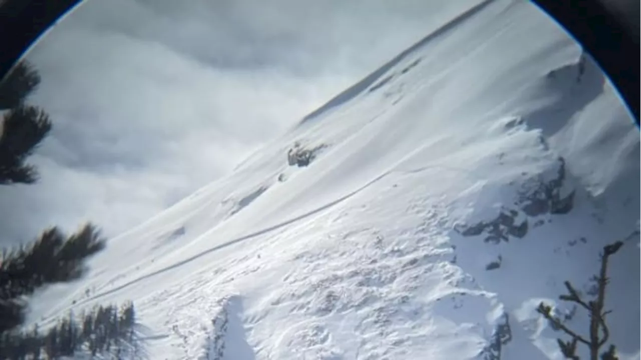 Skier dies in avalanche on Cathedral Mountain near Lake Louise