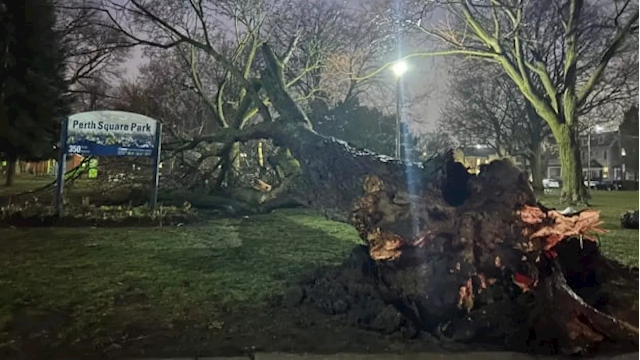 Spring Storm Brings Rain and Wind to GTA