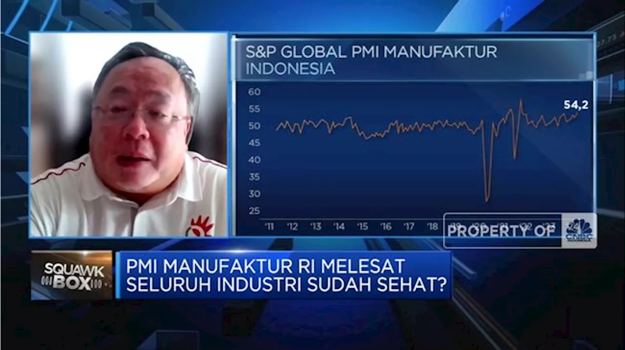 Dibalik Melesatnya PMI Manufaktur, Pemerintah Diminta Waspadai Hal Ini