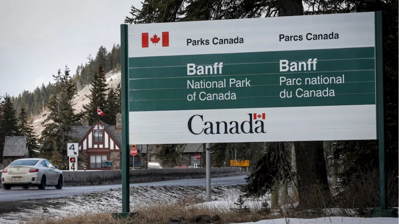 Tour bus fire strands 60 passengers on Alberta's Icefield Parkway