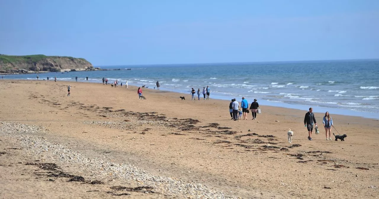 Horror as bones discovered in sand on UK beach are confirmed to be human