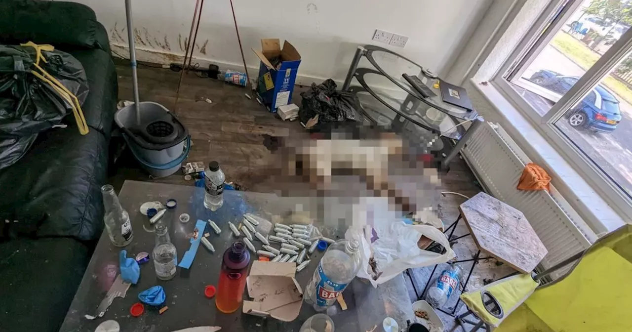 XL Bully Found Dead in Abandoned Flat Filled with Rubbish and Faeces