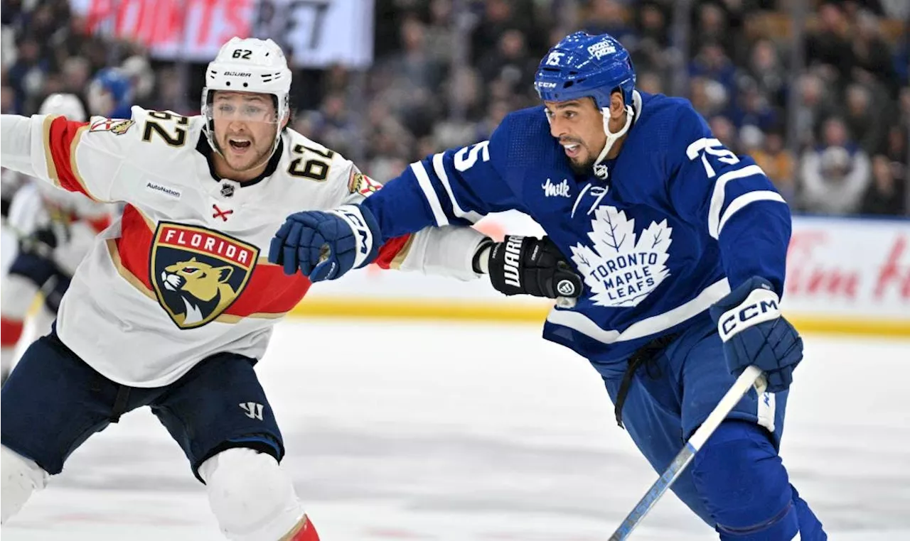 The Toronto Maple Leafs are more physical than you might think