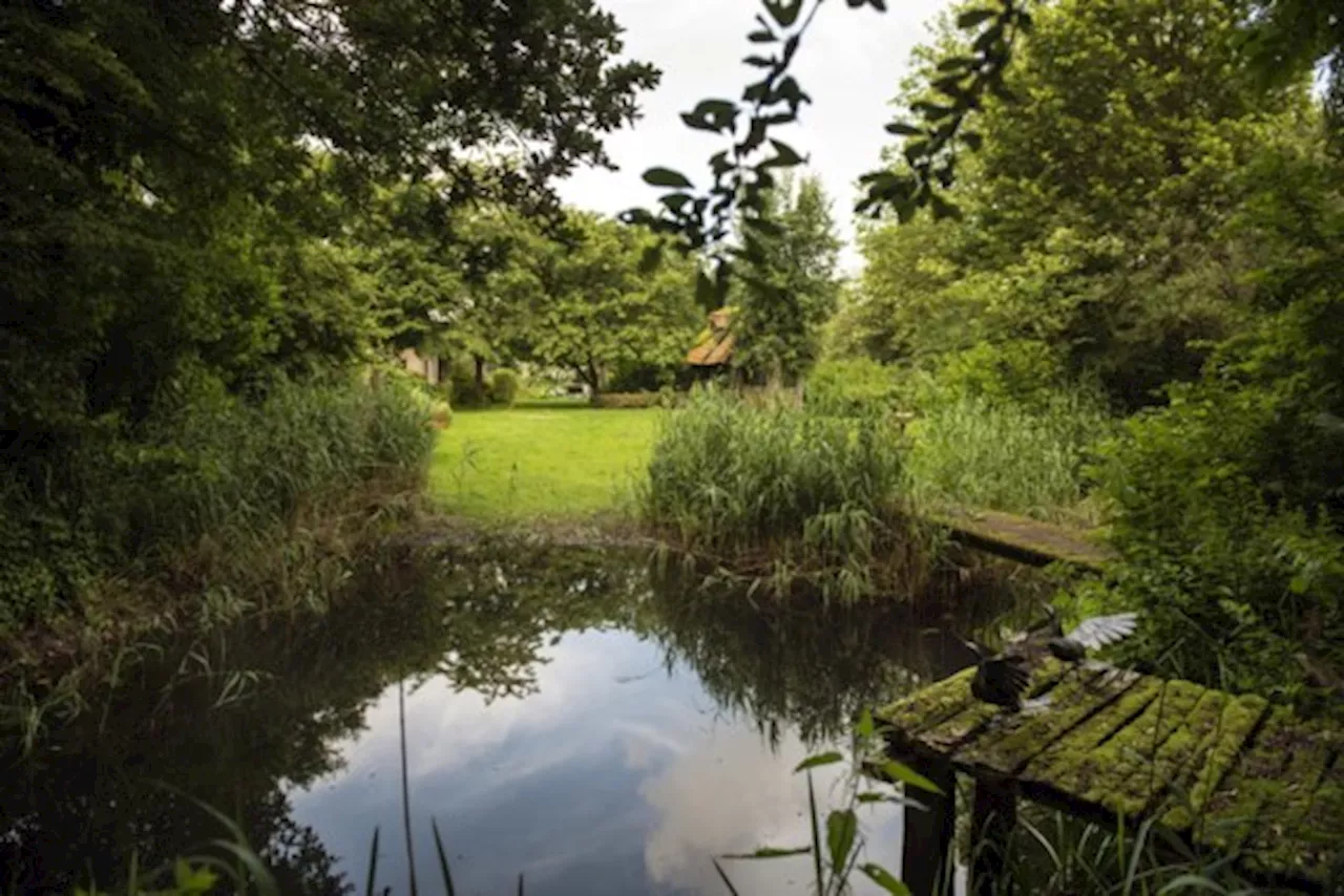 Hoe maak je zonder moeite van je tuin een fijne plek?