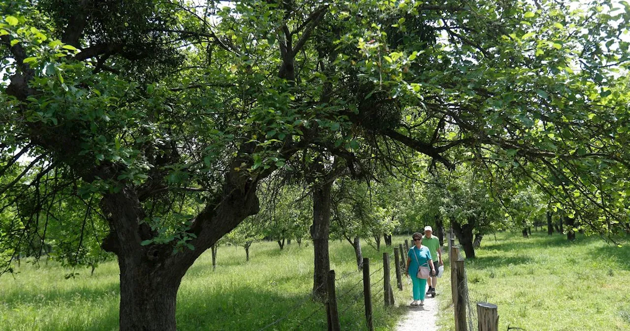 Beautiful country walks around Merseyside for peace and quiet