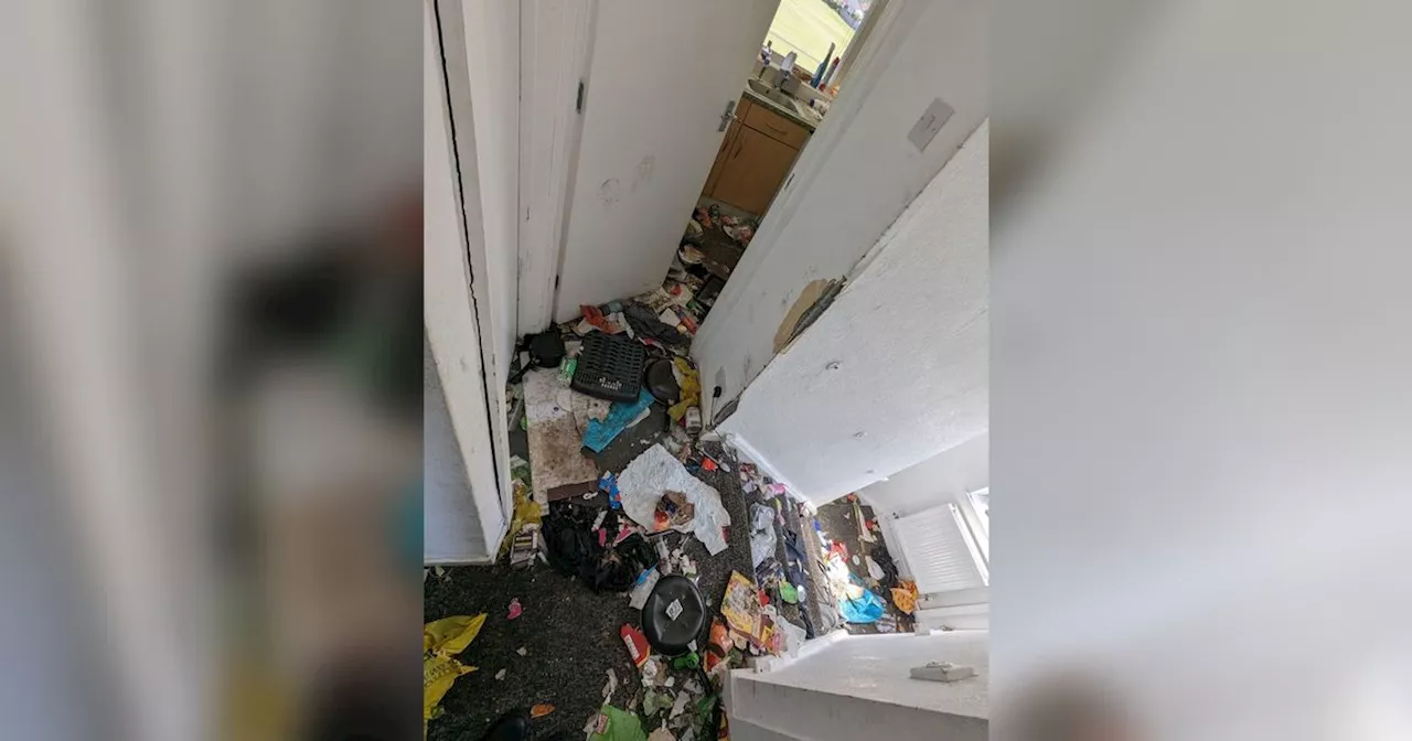 Teen who let dog die was 'living like an animal' in filthy flat