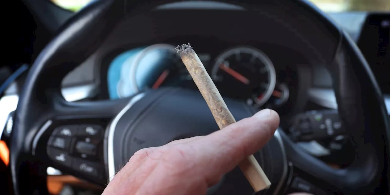 Cannabis und Autofahren: Experten definieren THC-Grenzwert