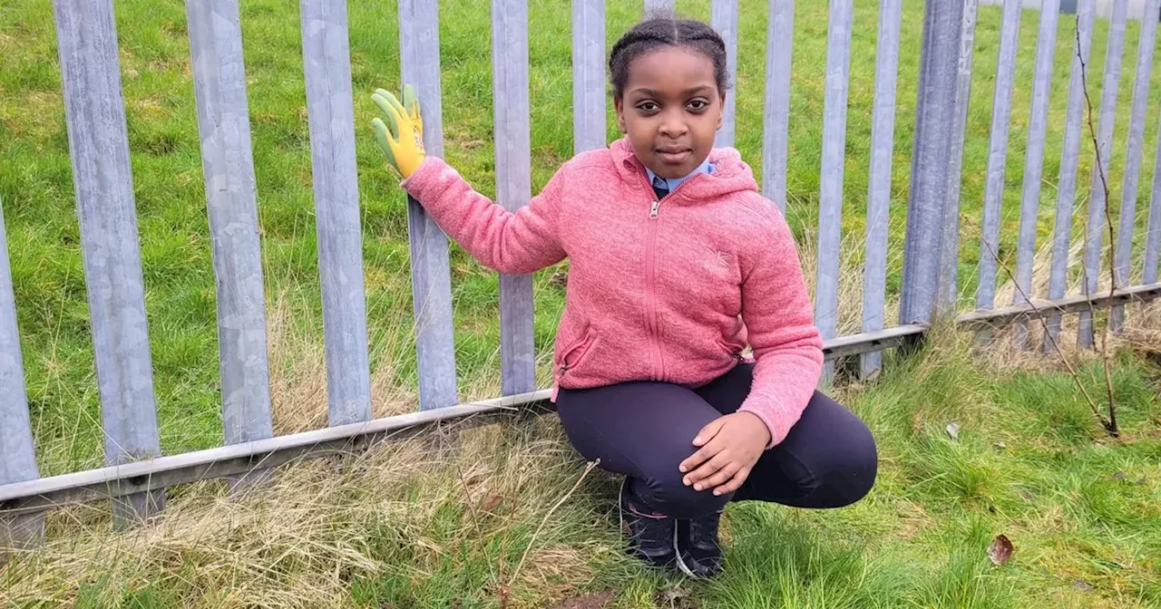 The Glasgow 'community farm' looking to grow food and opportunities in Blackhill