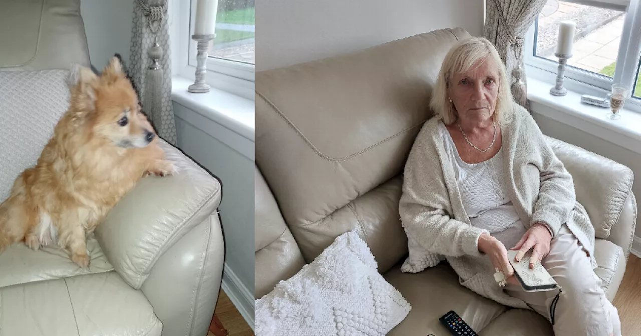 Two Lanarkshire dogs face being destroyed after pouncing on pensioner and her tiny Pomeranian