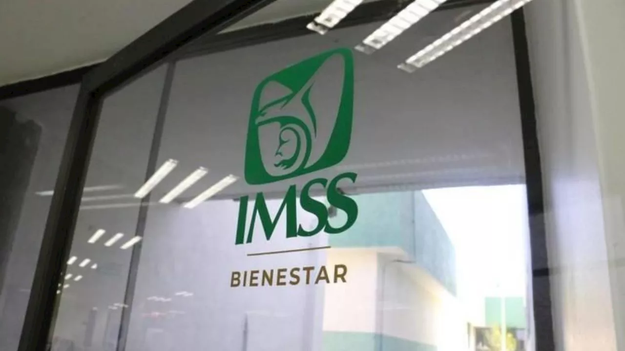 Estados que no se sumaron al IMSS-Bienestar: ¿qué pasará con la atención médica?&quot;