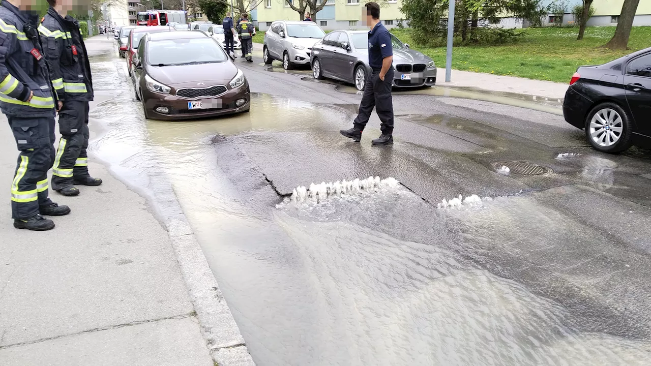  Wiener Siedlung komplett unter Wasser