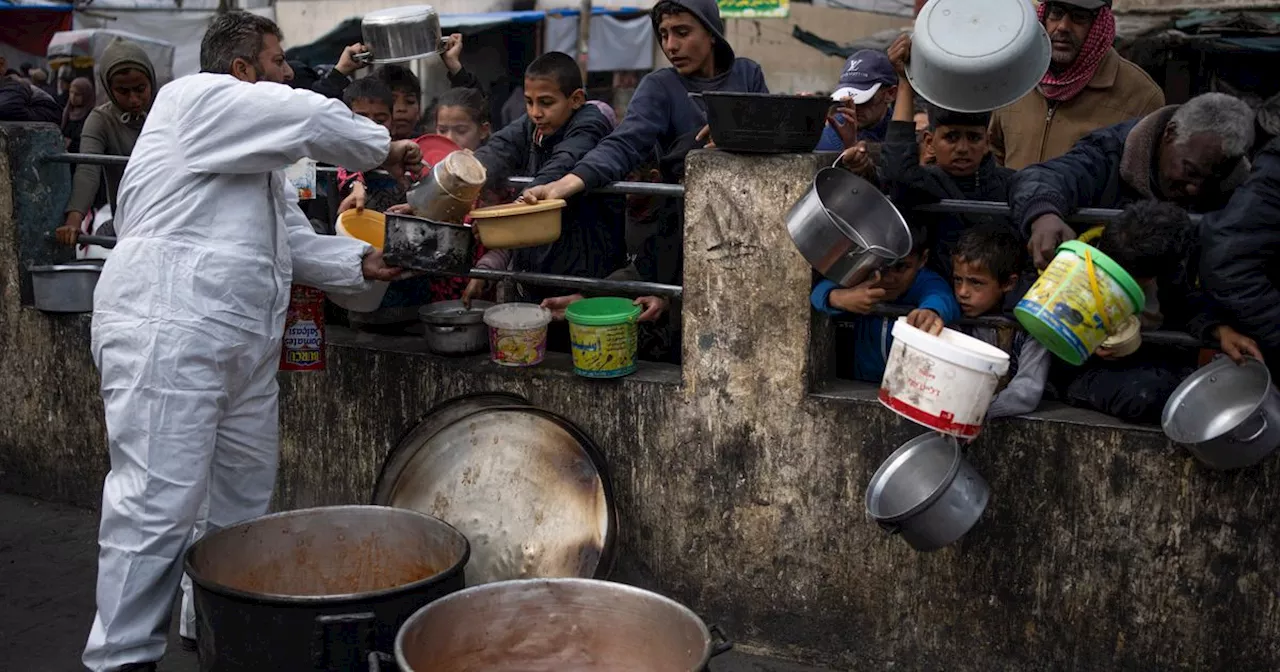 US Experts Warn of Unprecedented Hunger and Malnutrition in Gaza