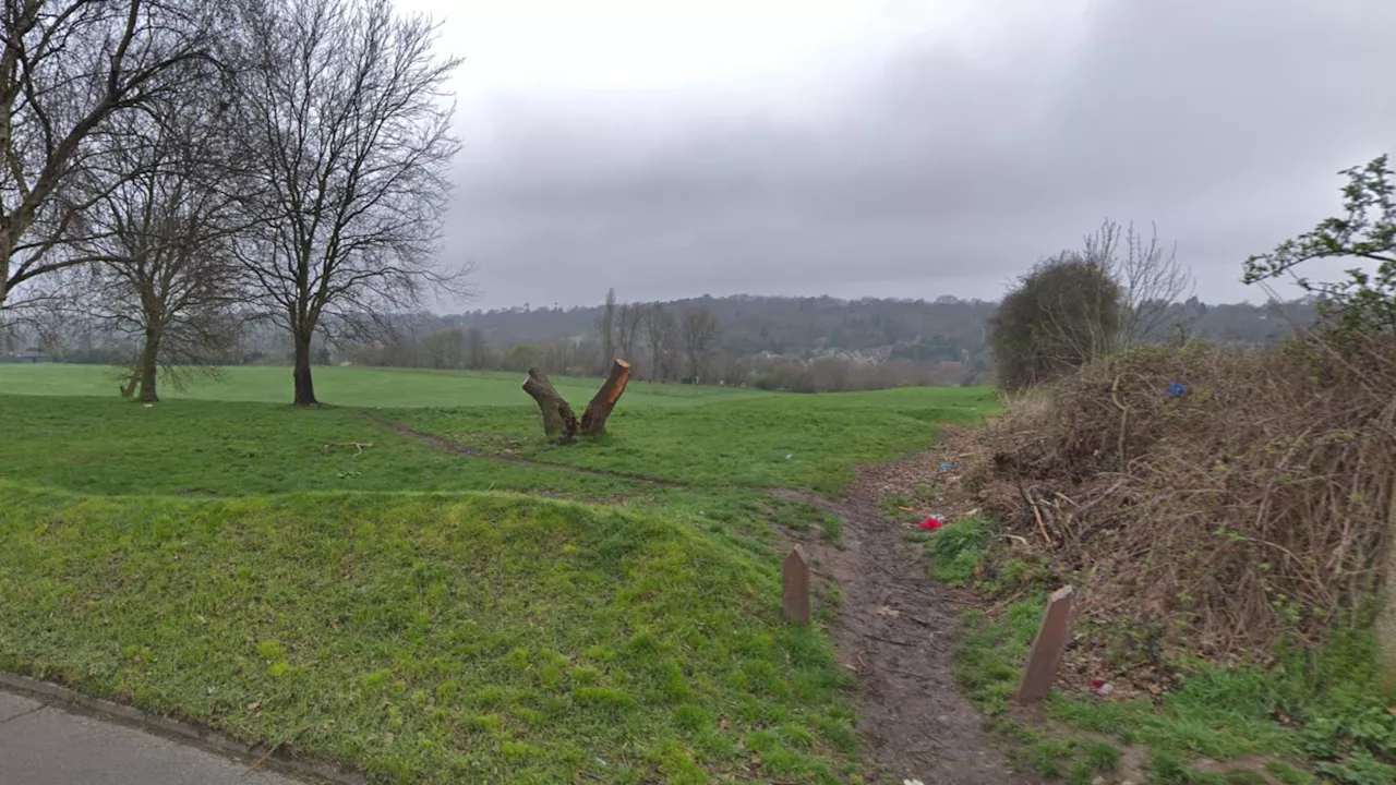 Human Remains Found in South London Park