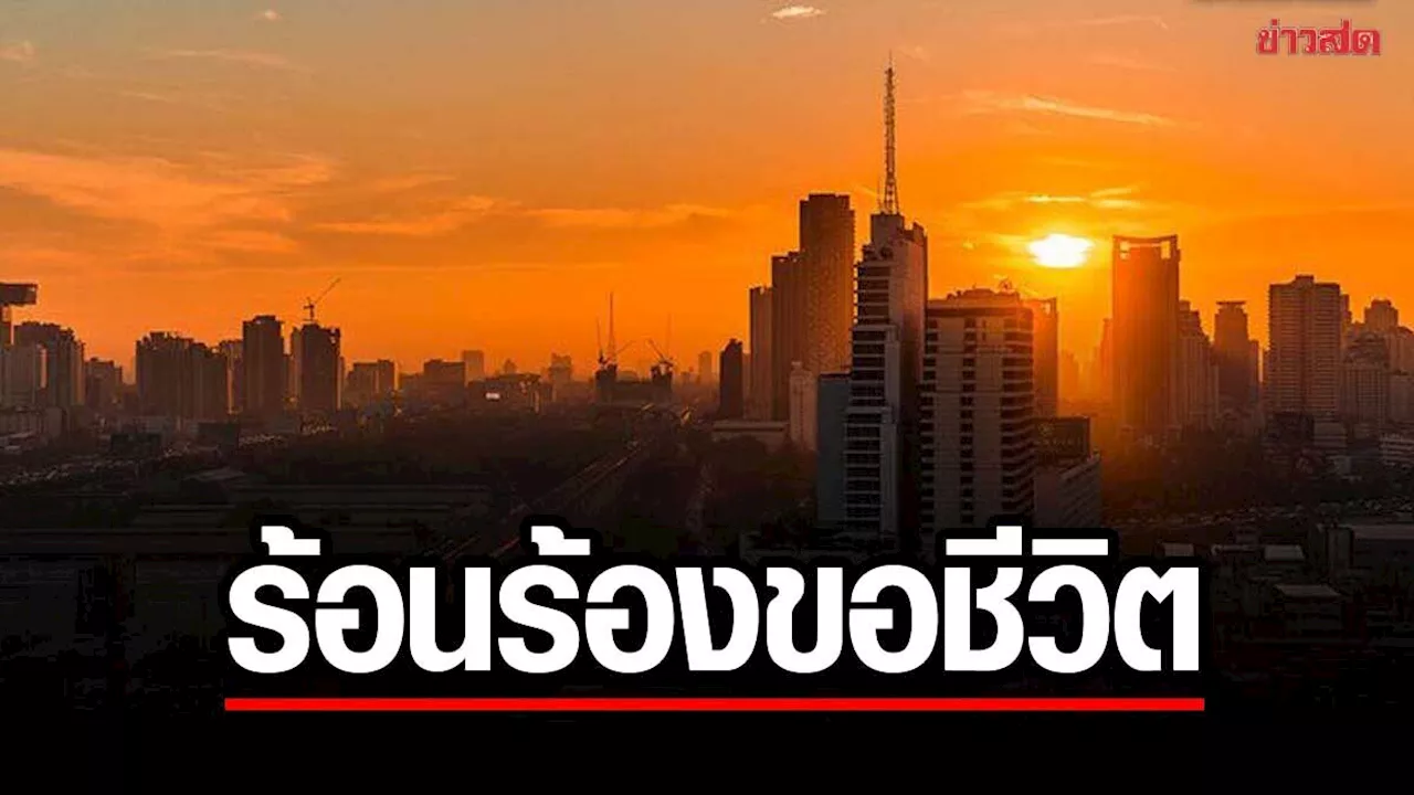 ข่าวสด